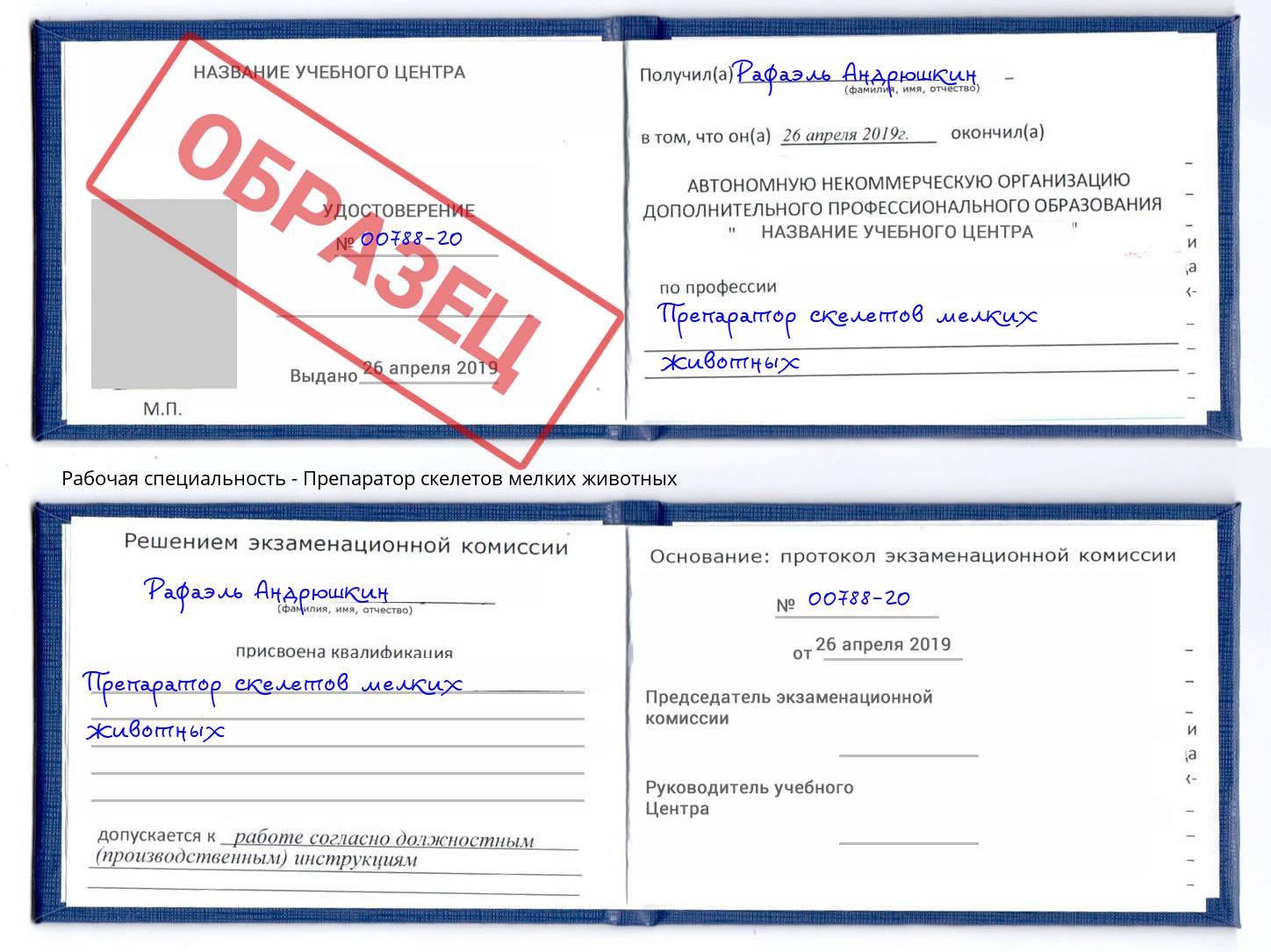 Препаратор скелетов мелких животных Когалым