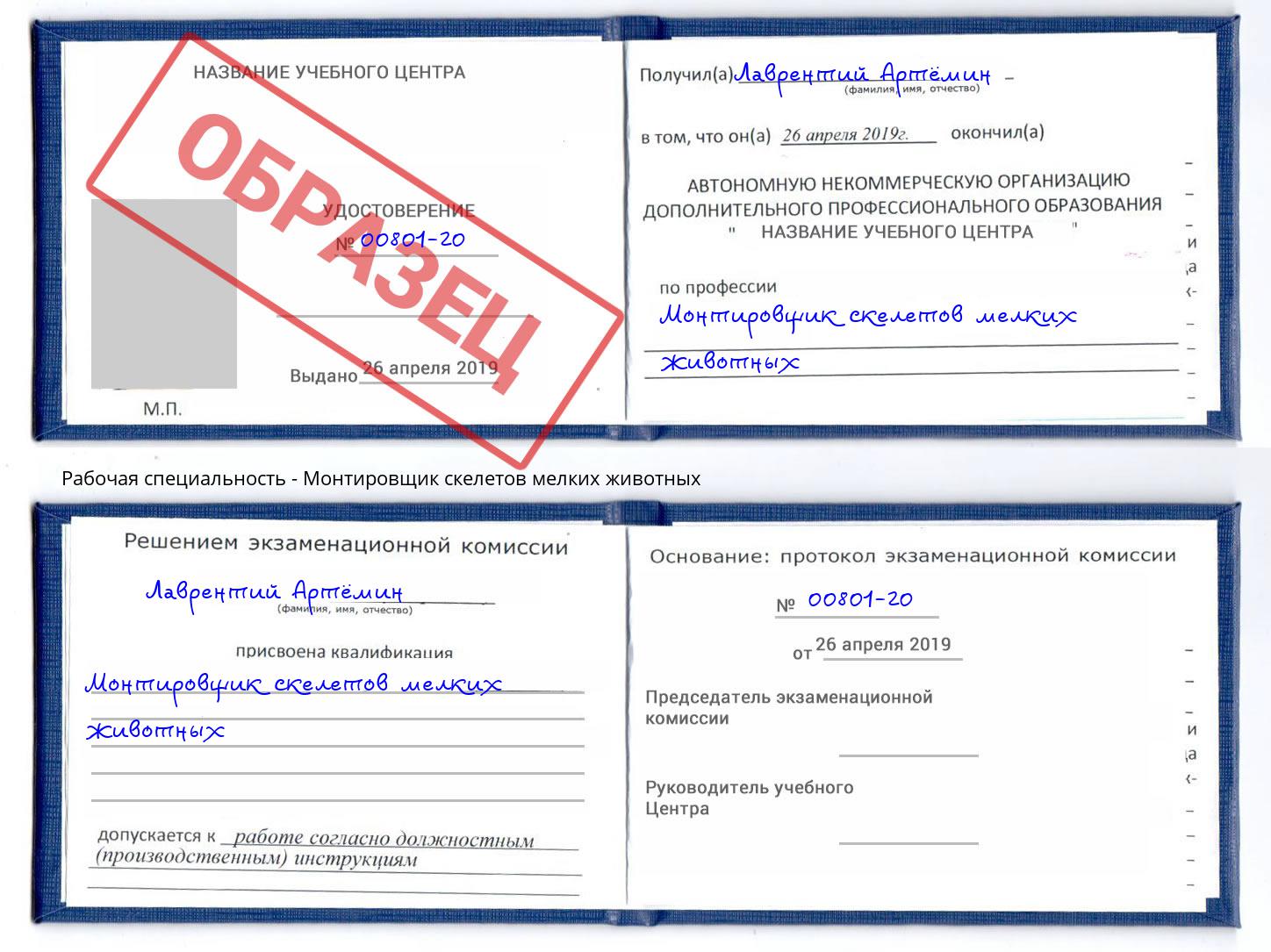 Монтировщик скелетов мелких животных Когалым